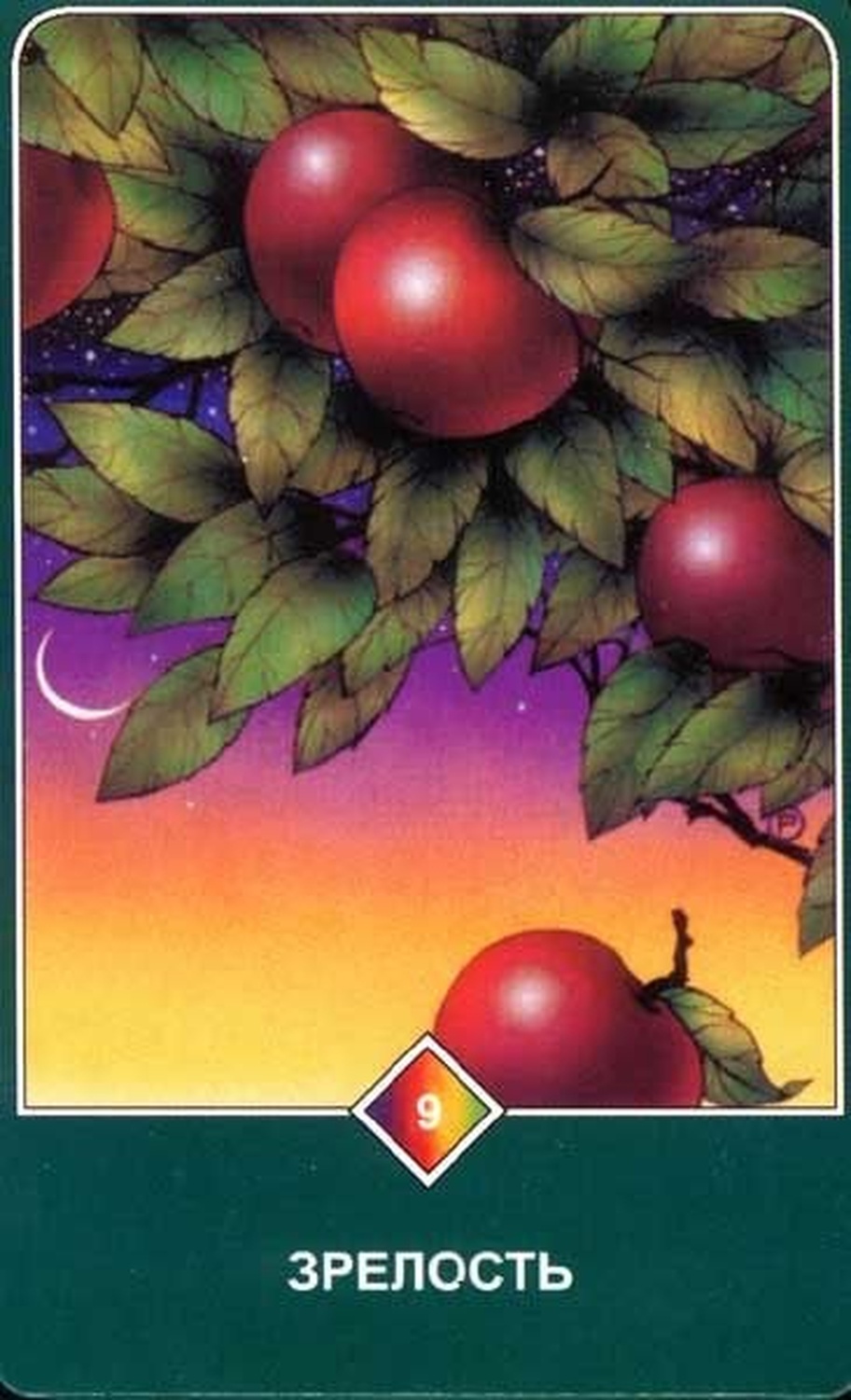Зрелость (Девятка Земли)