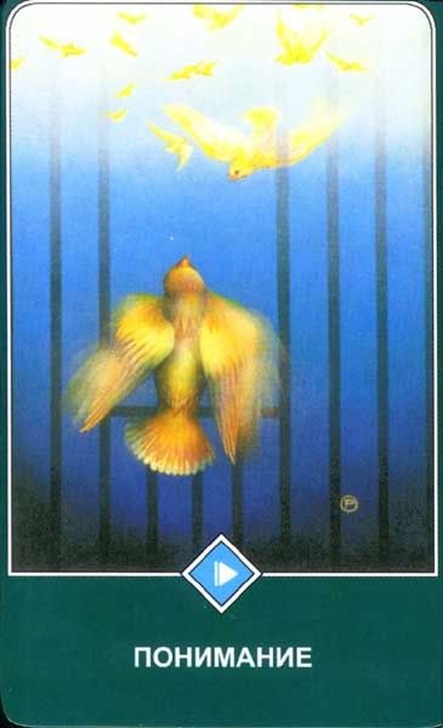 Понимание (Слуга Воды)